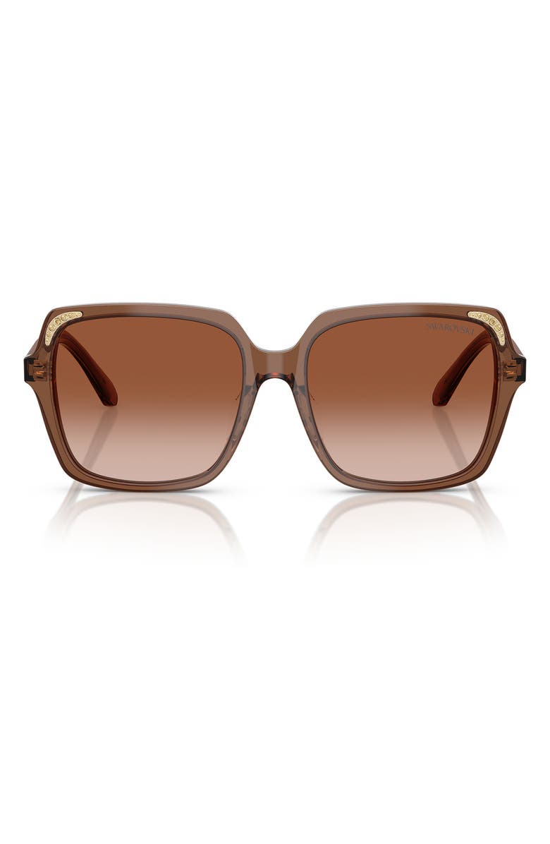 Swarovski 56mm Gradient Square Sunglasses, Main, color, Transparent Brown
