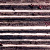 Naot 'Pamela' Sandal, Alternate, color, 