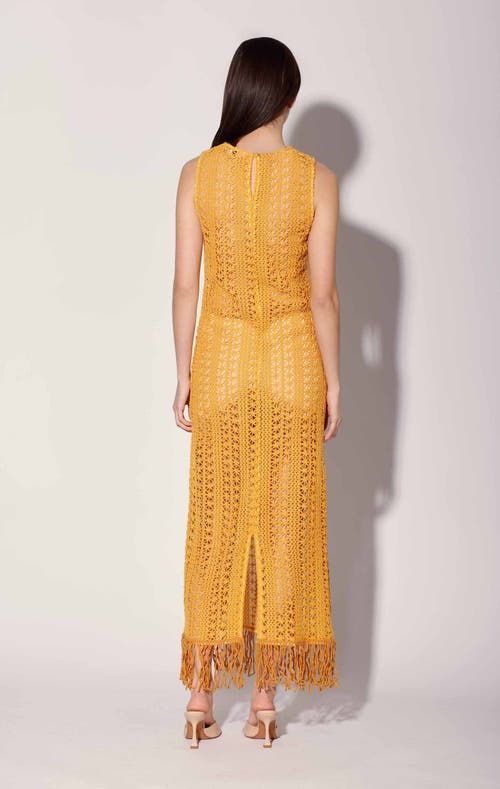 Shop Walter Baker Paula Dress In Havana Crochet Marigold