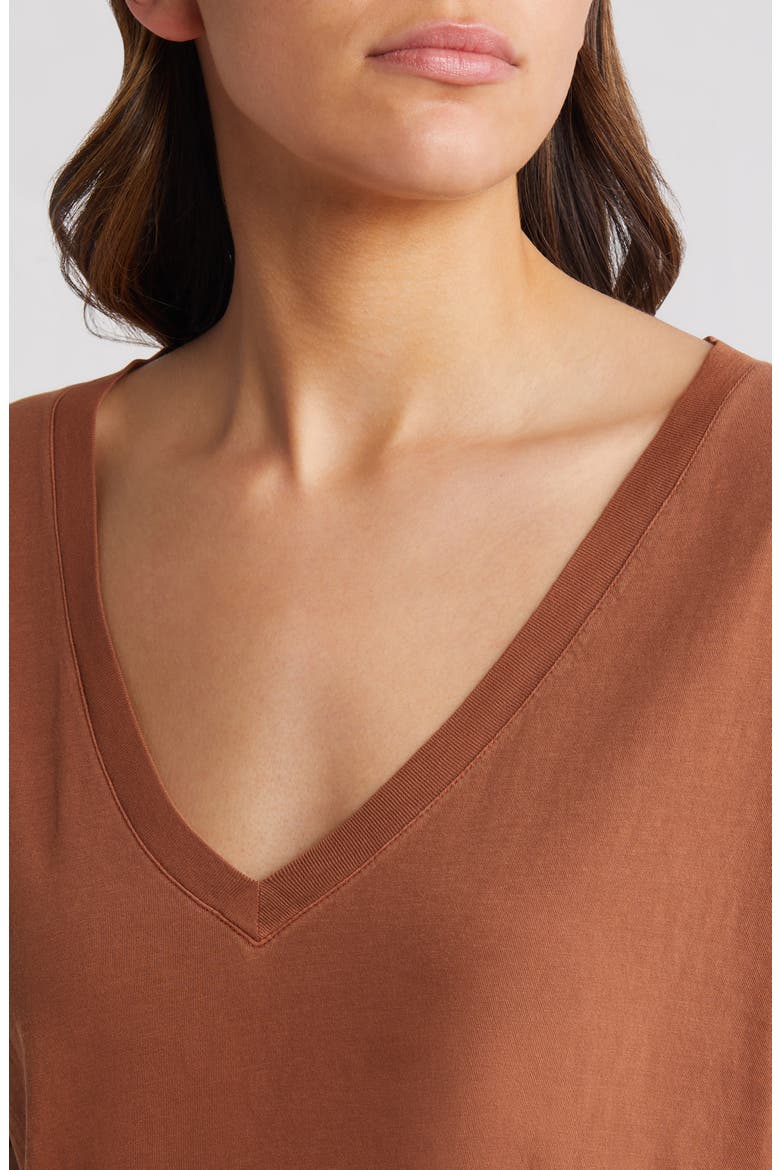 Oversize V-Neck Cotton T-Shirt, Alternate, color, RUST SEQUOIA