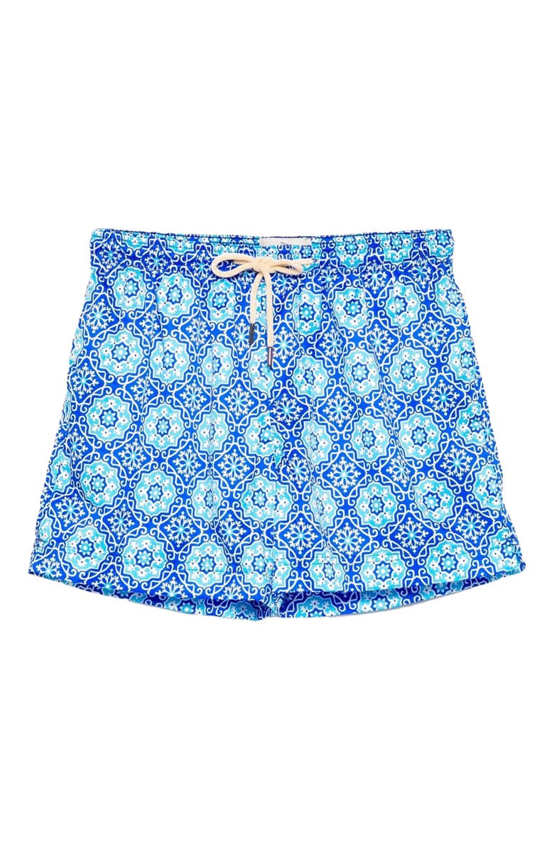 Peninsula Swimwear Filicudi Swim Shorts, Main, color, Multicolor