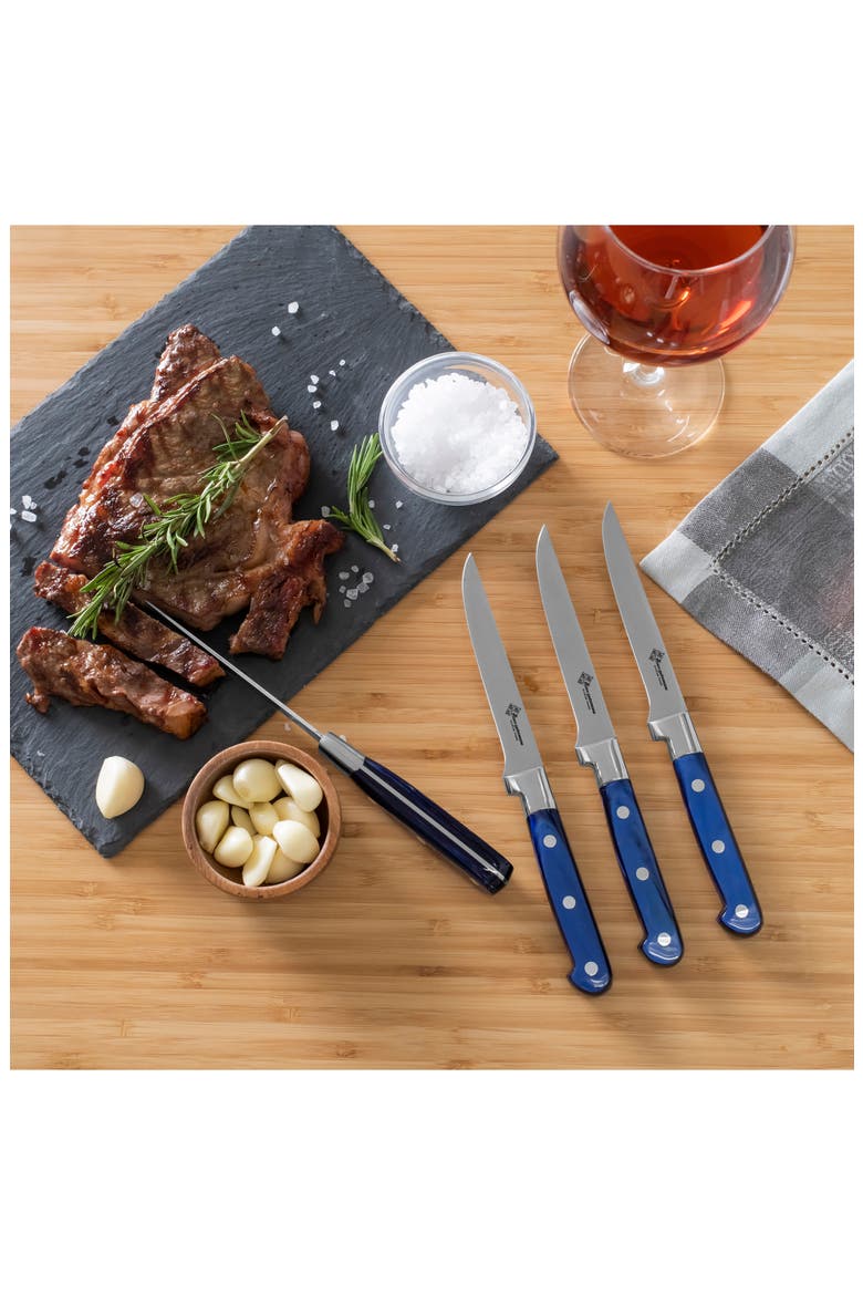 Prince Gastronome 4-Piece Steak Knife Set, Alternate, color, ROYAL BLUE