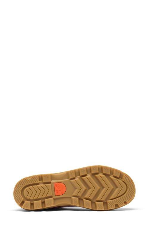 Sorel Scout N About™ Low Sneaker In Aura/gum