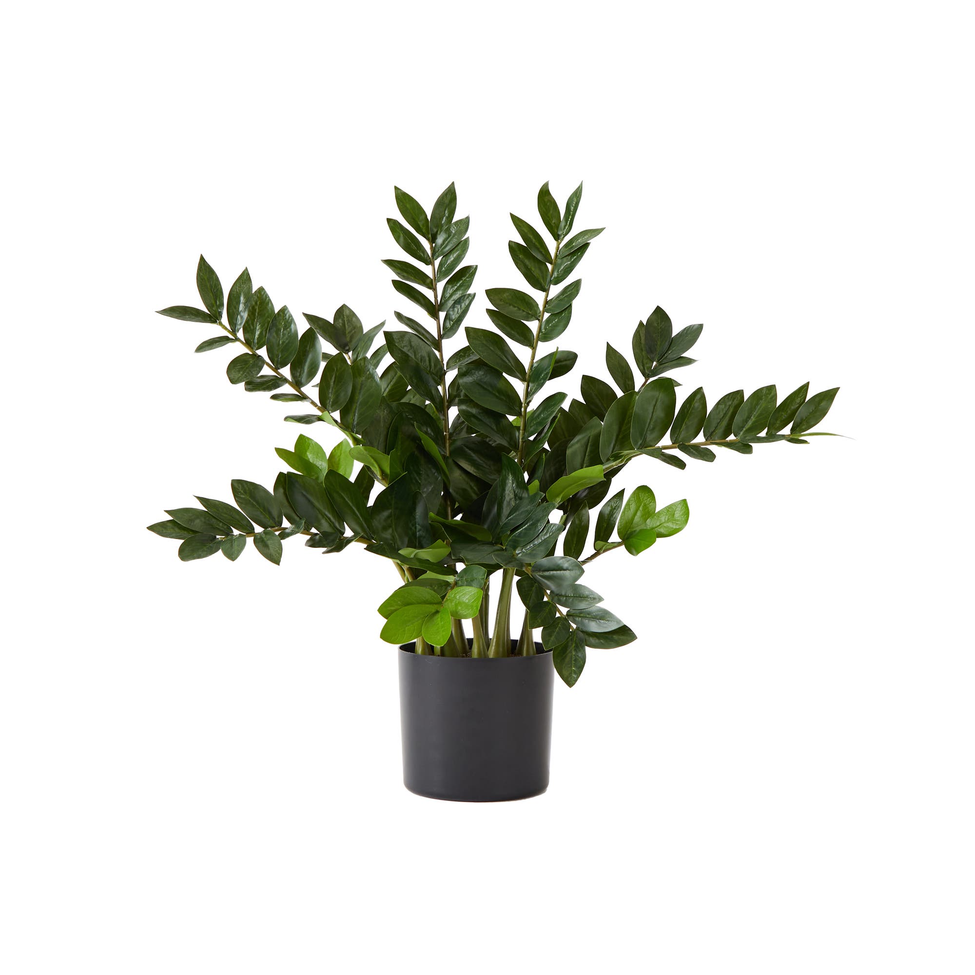 selected Green
