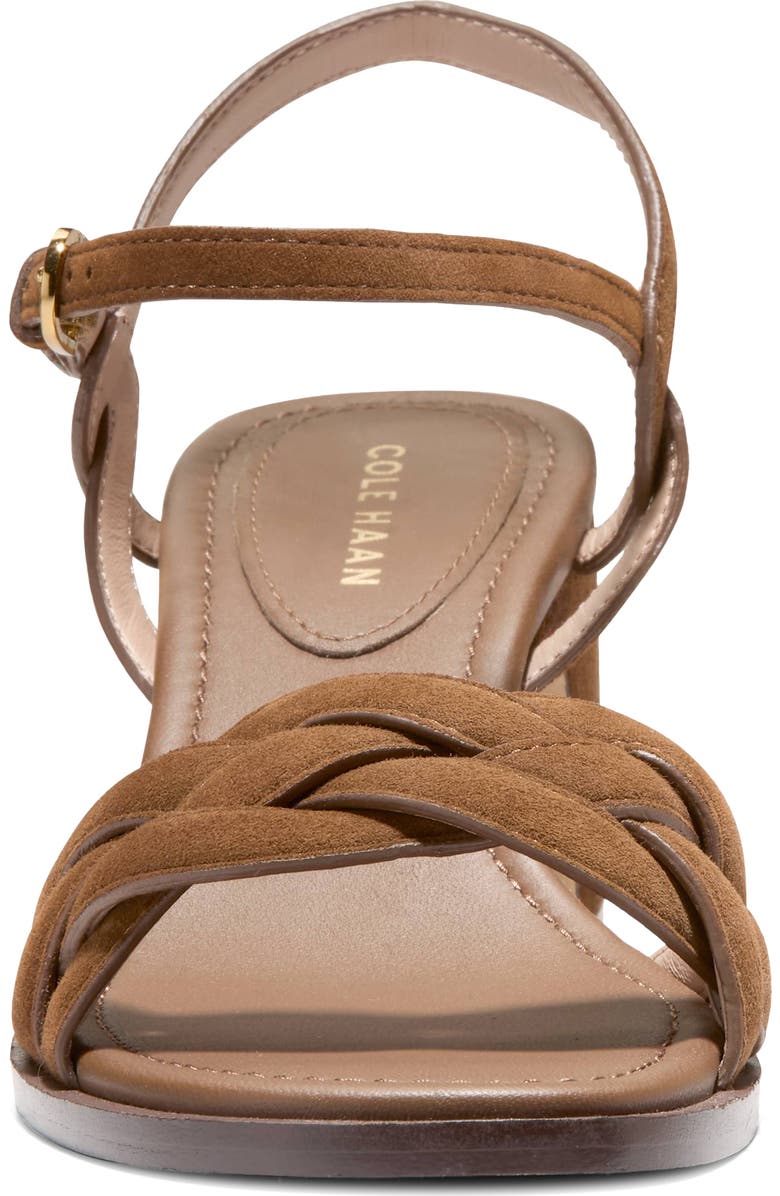 Cole Haan Ambrose Braid Ankle Strap Sandal, Alternate, color, Spiced Brown Suede