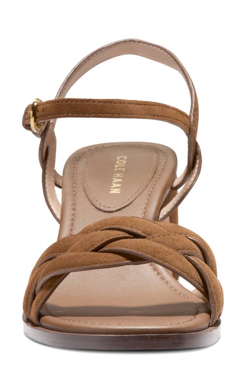 Cole Haan Ambrose Braid Ankle Strap Sandal