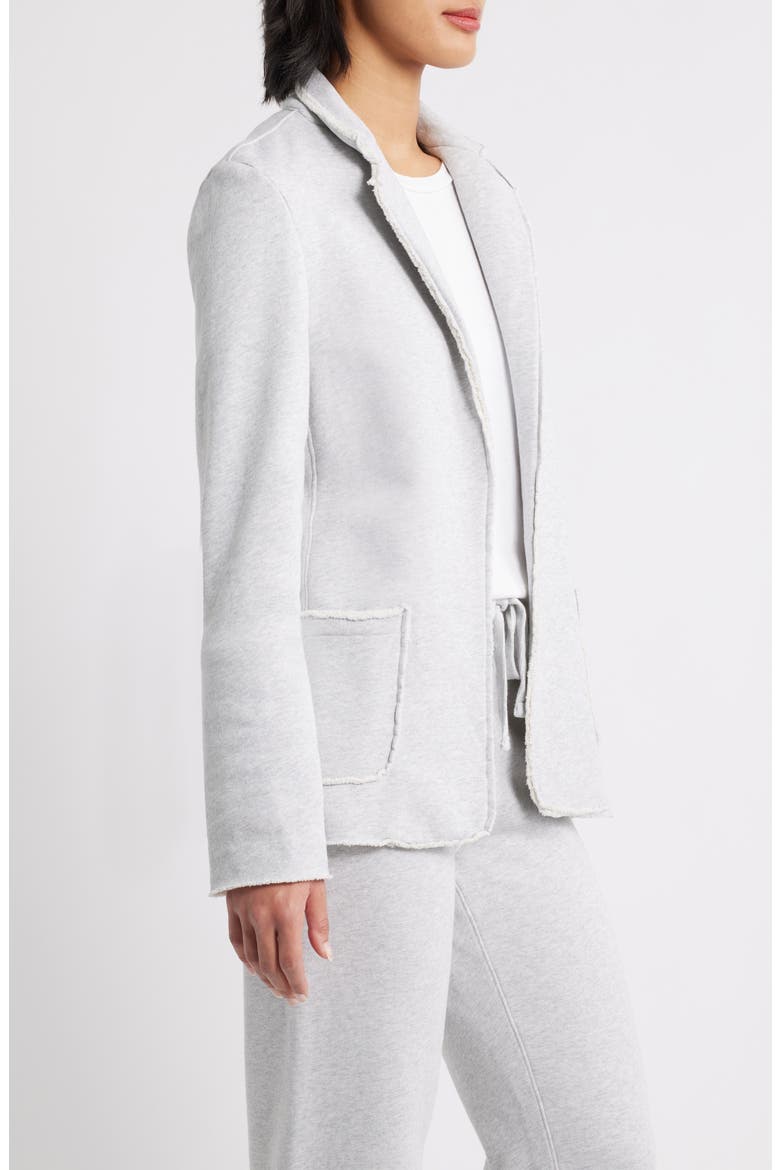 Dublin Cotton Fleece Blazer, Alternate, color, GRAY MELANGE