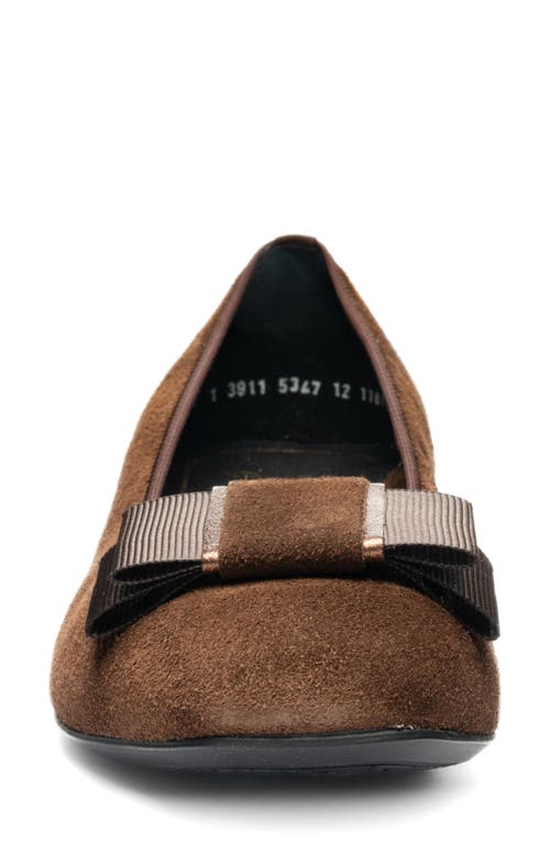 Ara Garnet Suede Pump In Brown