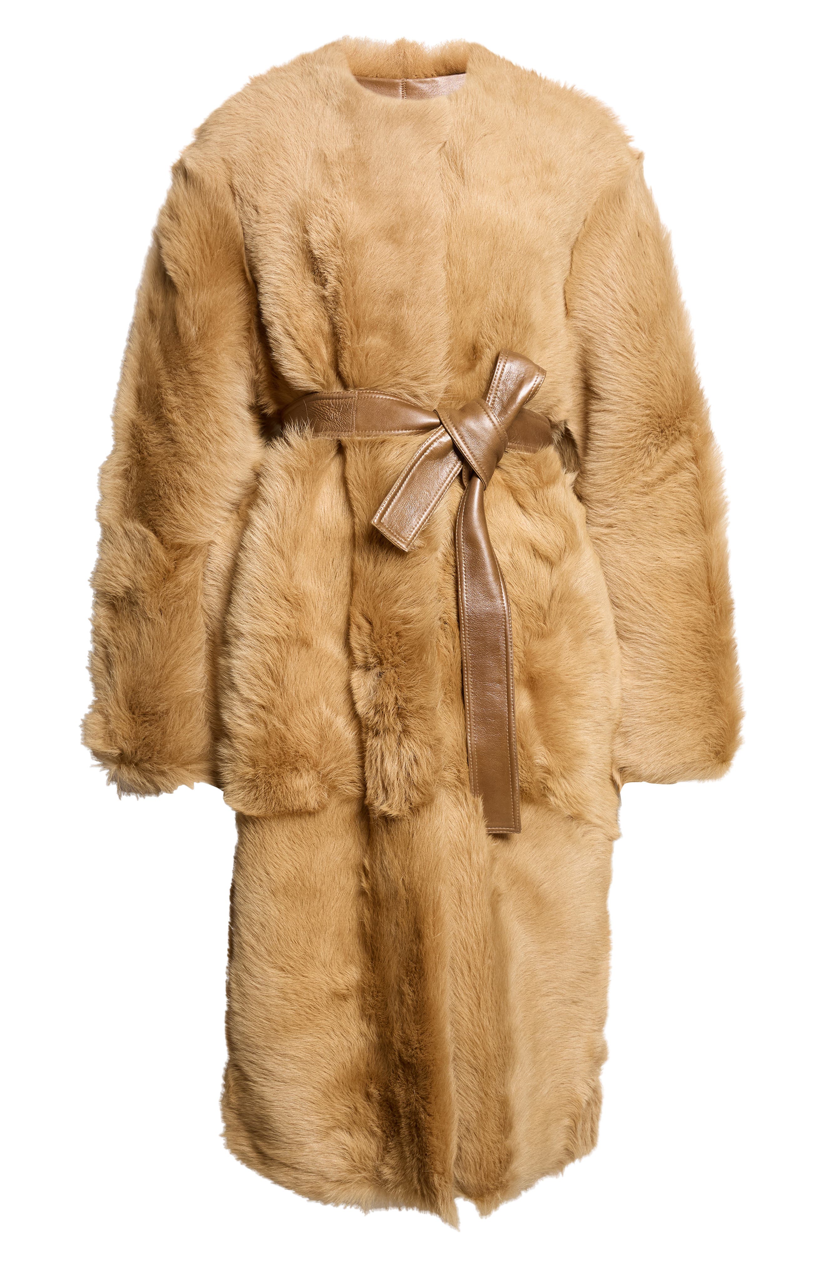 selected CAMEL