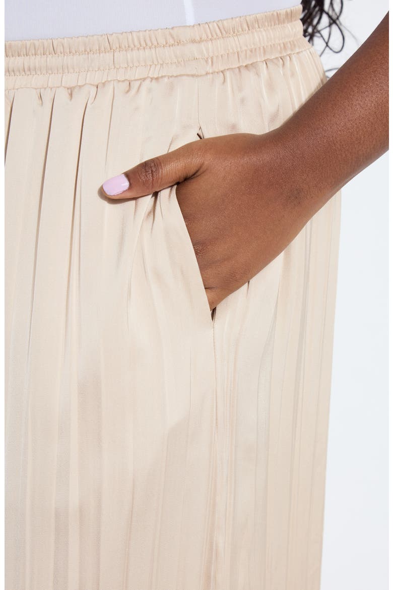 The Packable Pleated Wide Leg Satin Pants, Alternate, color, CHABLIS