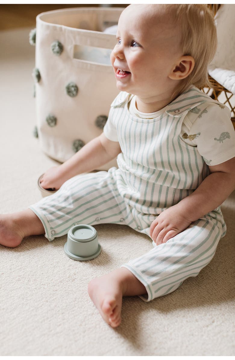 Pehr Stripe Organic Cotton Overalls, Alternate, color, 