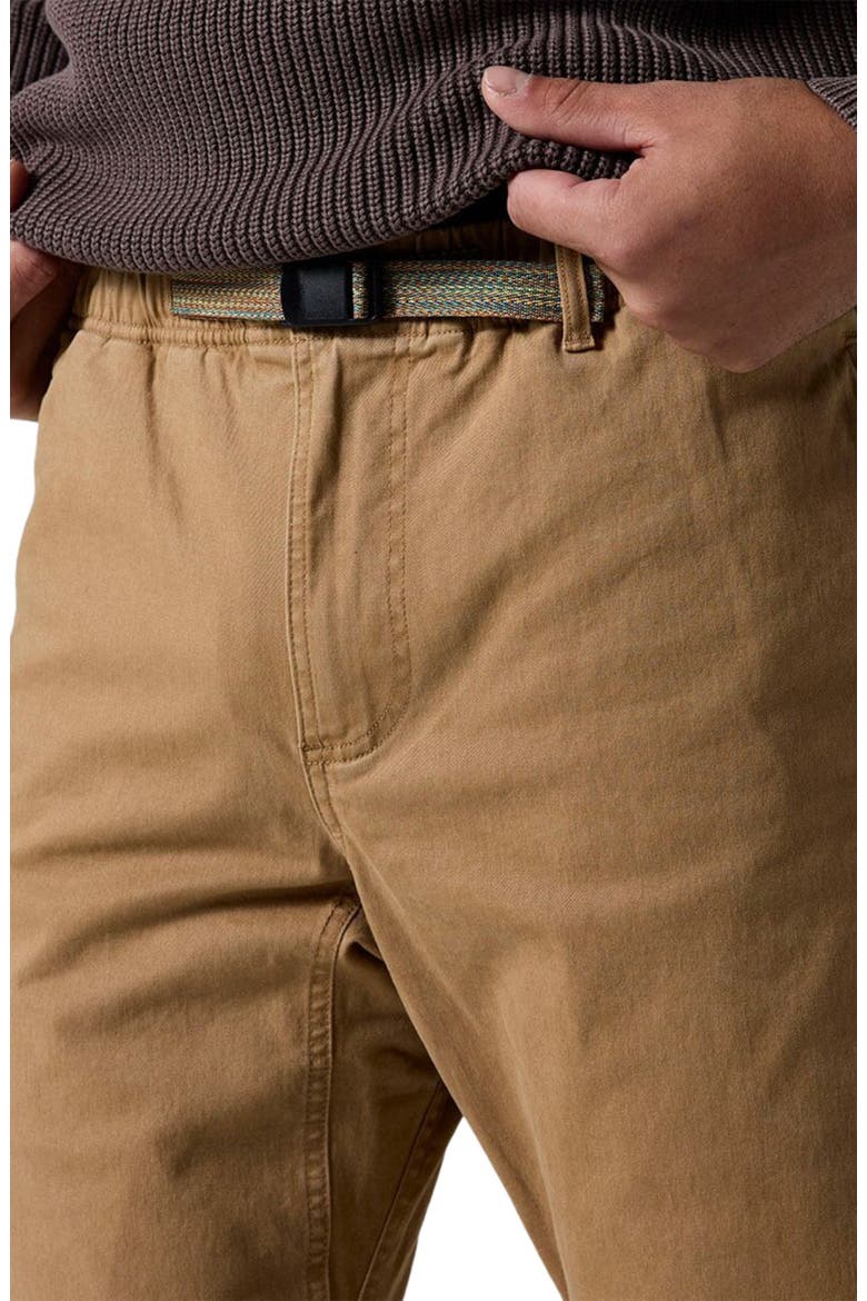 Venture Daily Flannel Lined Pant - Men's, Alternate, color, Bistre