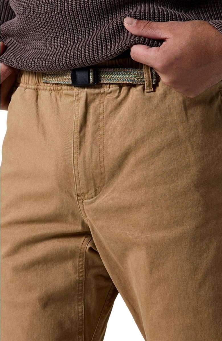 Backcountry Venture Daily Flannel Lined Pant - Men
s, Alternate, color, Bistre