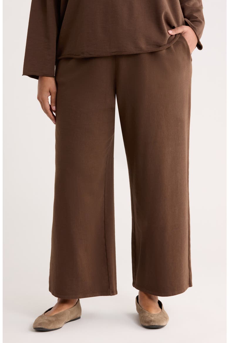 Garment Dyed Organic Cotton Terry Wide Leg Pants, Main, color, WREN