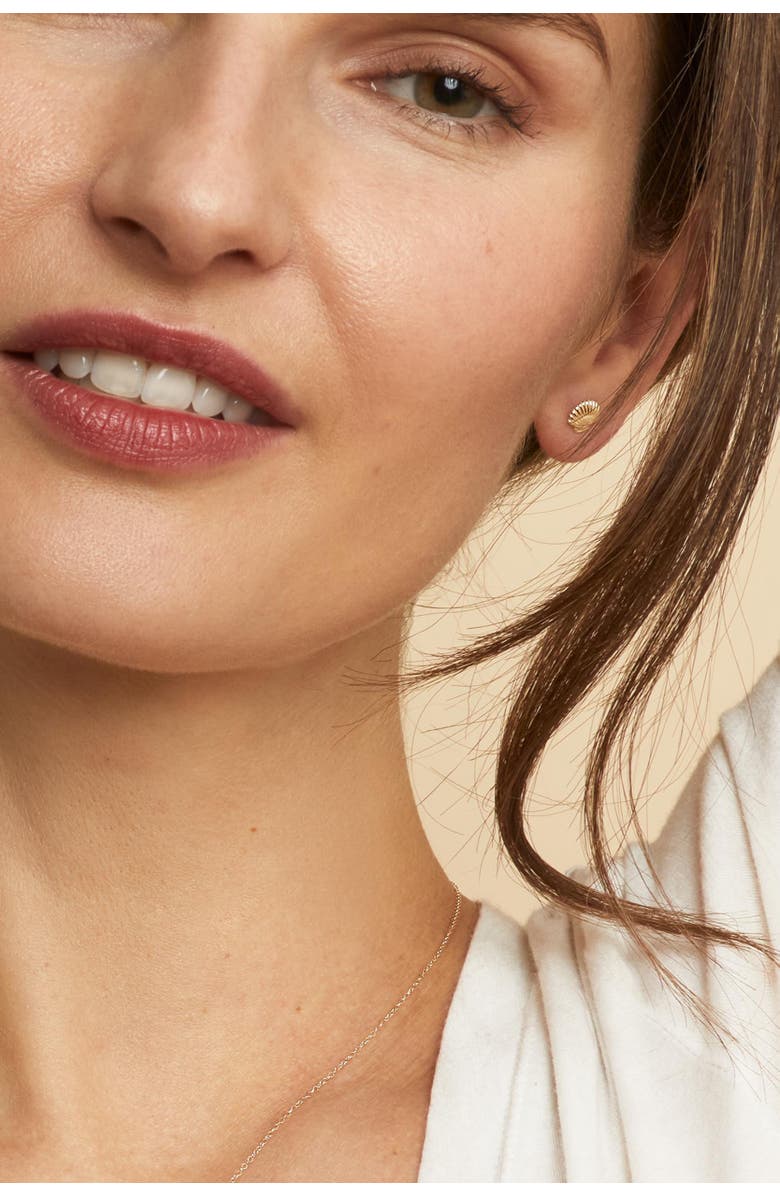 Oradina 14K Yellow Gold Seashell Studs, Alternate, color, Yellow Gold
