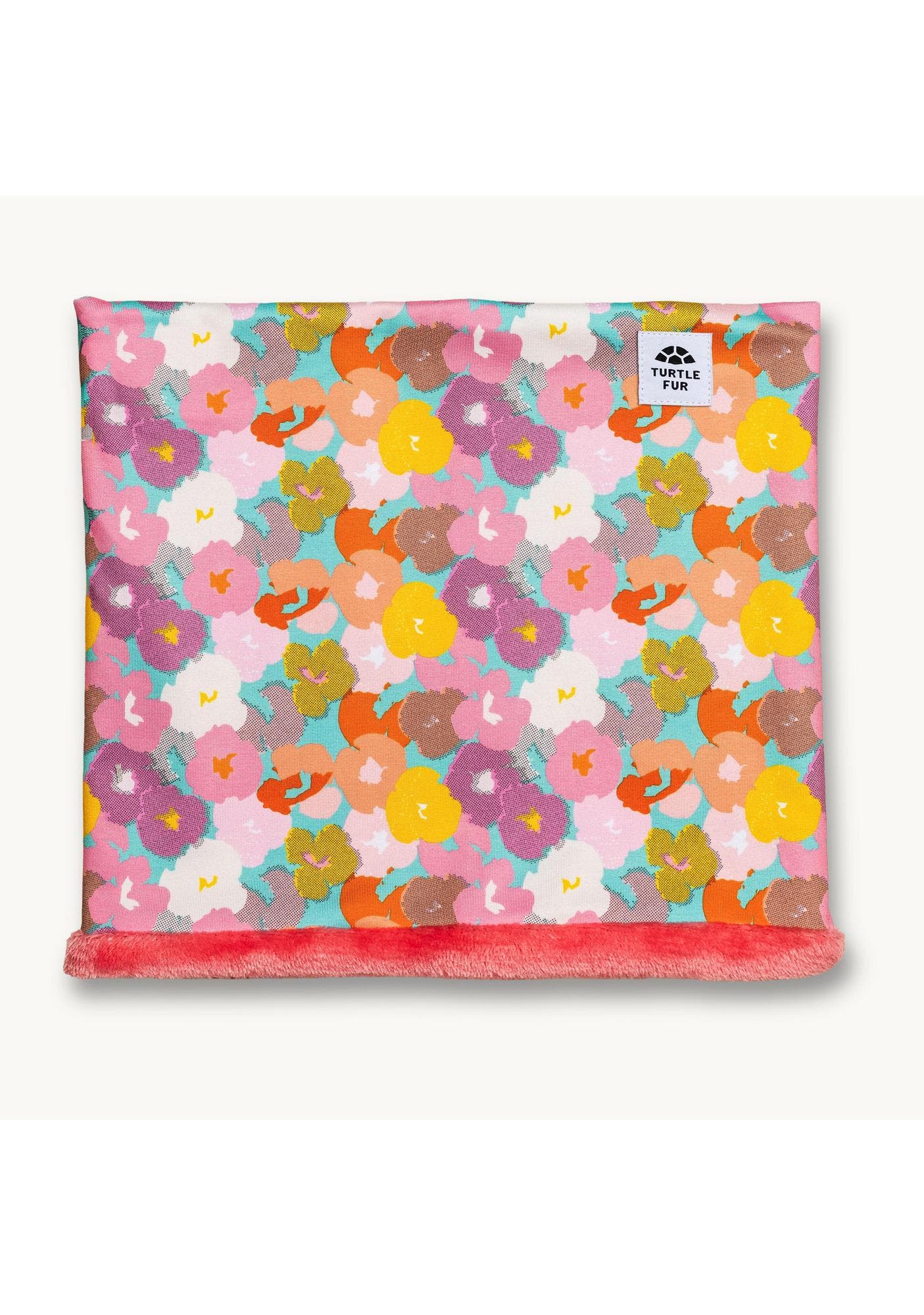 Lolli