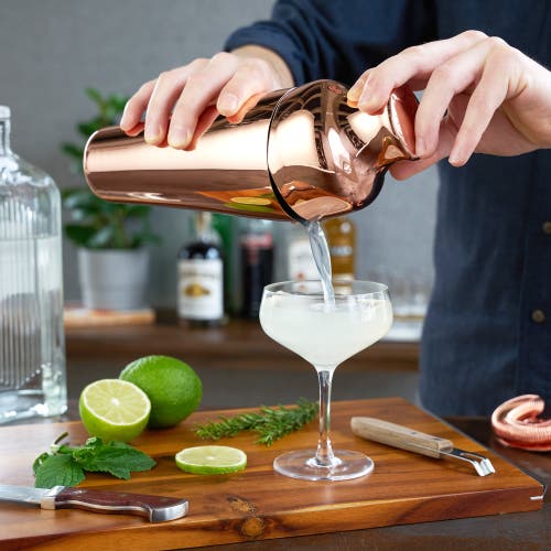 Viski Parisian Cocktail Shaker In Summit