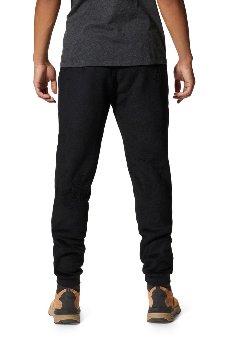 Polartec® High Loft Fleece Pants, Alternate, color, BLACK