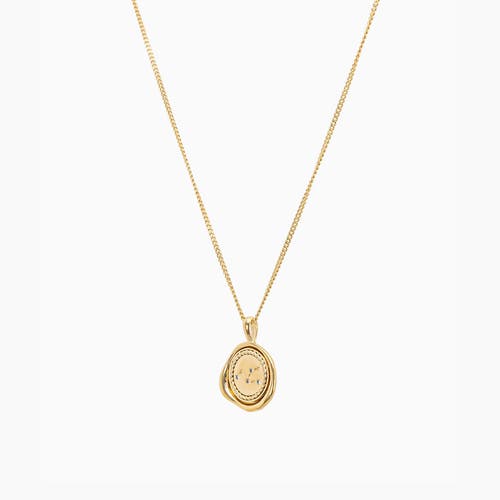 Bearfruit Jewelry 14k Gold Plated Seal Constellation Necklace 12 Zodiac Signs Holiday Gift Guide In Gold