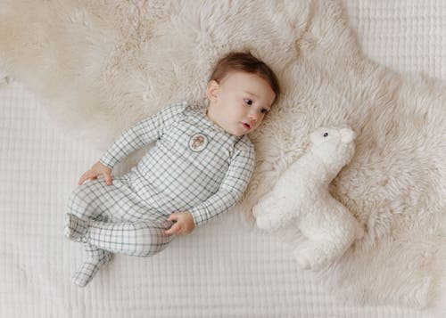Ely's & Co. Modal French Terry Plaid Sheep Collection In Green