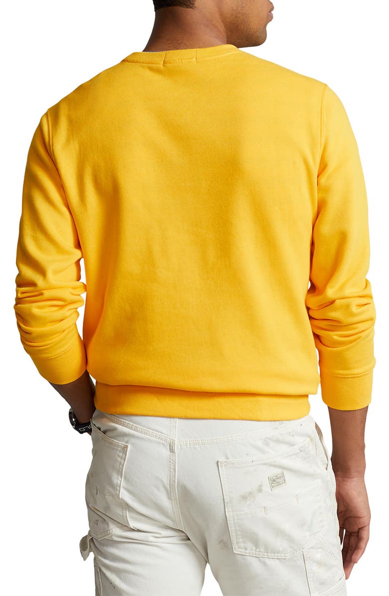 Polo Ralph Lauren Polo Bear Graphic Sweatshirt, Alternate, color,