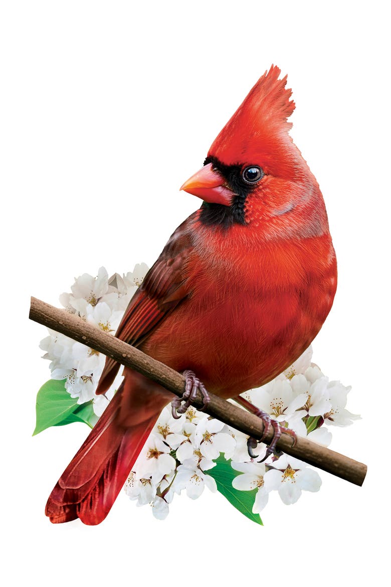 Cardinal 100 Piece Shaped Jigsaw Puzzle, Alternate, color, Multicolor