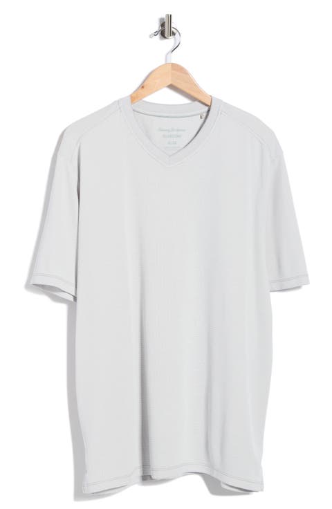 Men's Coastal Crest IslandZone® V-Neck T-Shirt