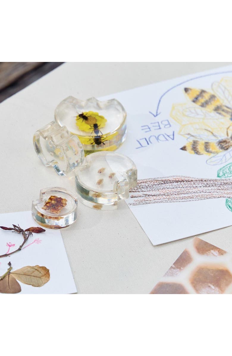 Kaplan Early Learning Company Specimen Life Cycle Puzzles - Honey Bee, Alternate, color, Multicolored