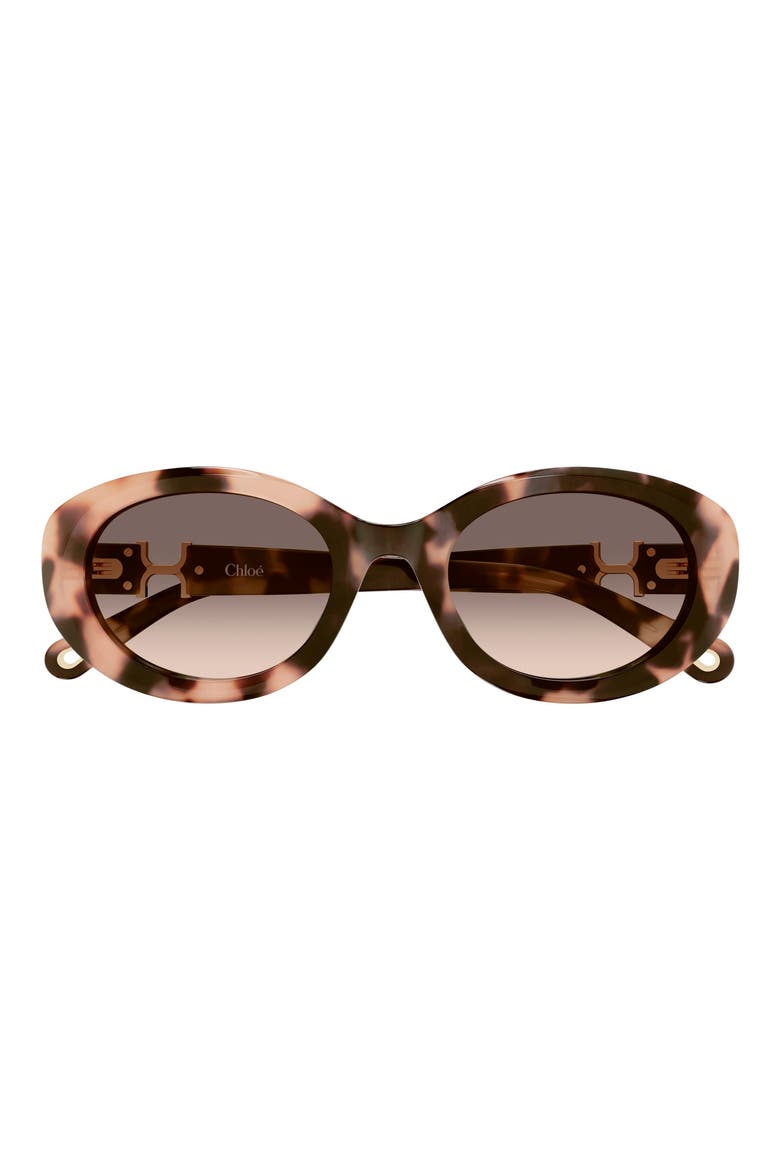 CH0323SK 54mm Gradient Round Sunglasses, Main, color, HAVANA
