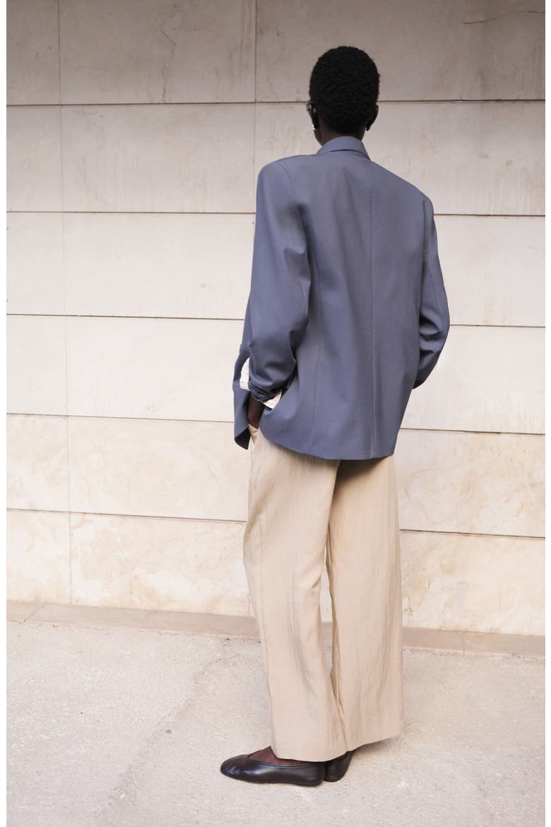 Pleat Front Wide Leg Pants, Alternate, color, BEIGE