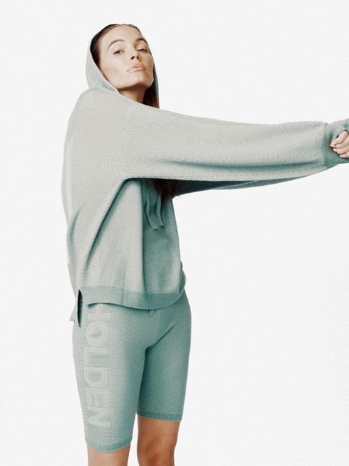 Holden Outerwear Icon Hoodie In Sage