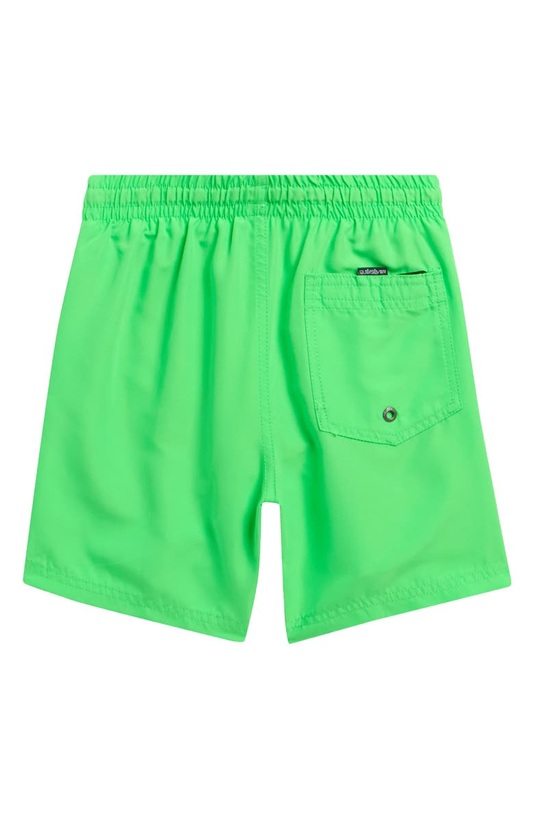 Quiksilver Kids' Everyday Volley Swim Trunks, Alternate, color, Paradise Green