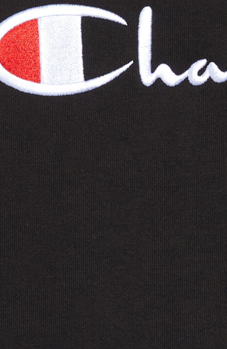 Champion Kids' Embroidered Premium Fleece Hoodie, Alternate, color,