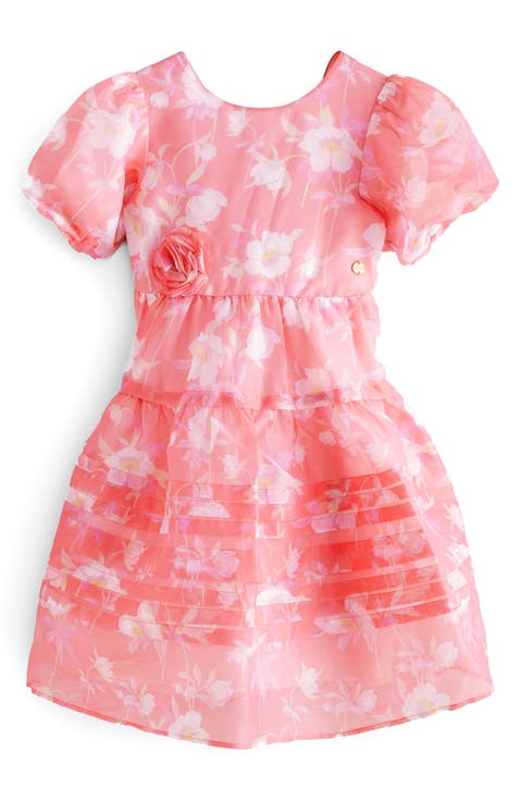 Kids' Floral Organza Pleated Dress (Little Kid)