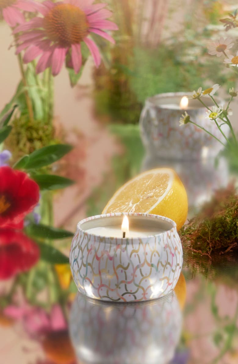 Voluspa Wildflowers Mini Tin Candle, Alternate, color, Wildflowers