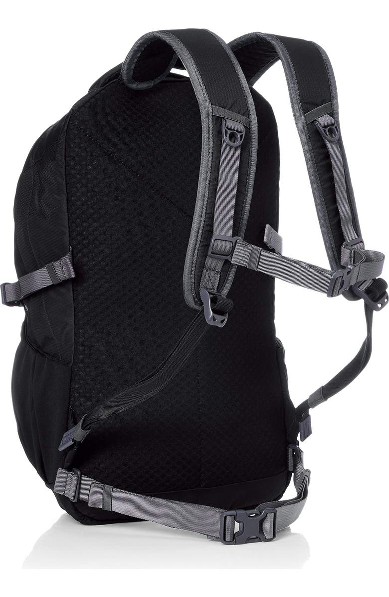 PACSAFE Venturesafe 25L G3 Backpack, Alternate, color,
