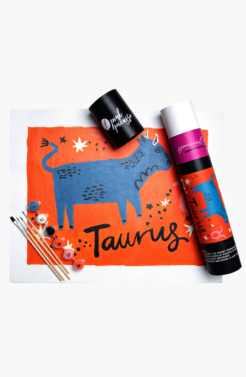 Special Edition Zodiac Taurus Paint by Numbers Kit