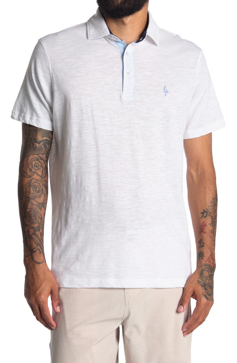 TailorByrd Jersey Solid Polo, Main, color,
