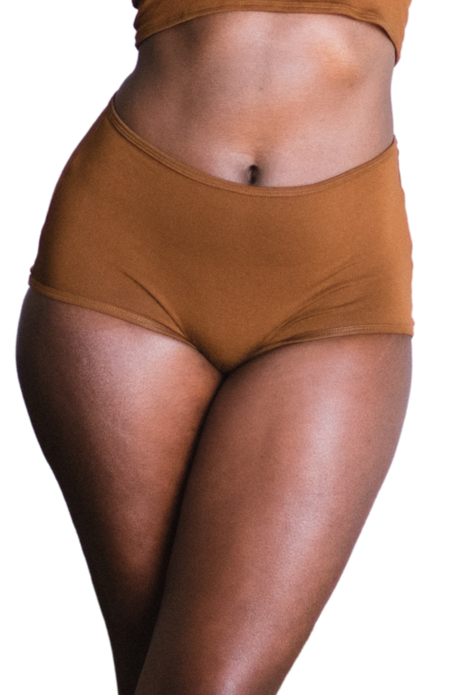 Proclaim Organic Cotton High Rise Brief In Brown