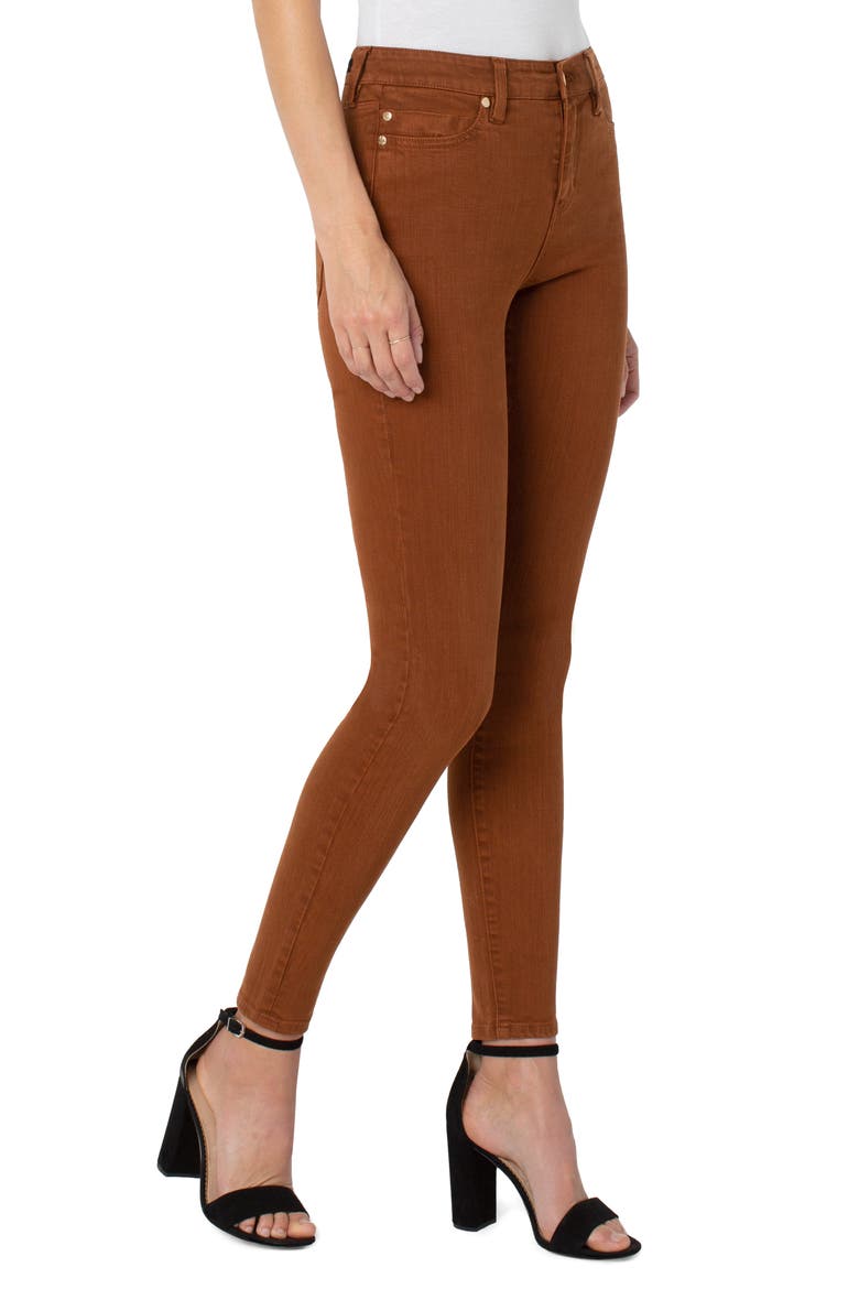 Abby Skinny Pants, Alternate, color, CINNAMON