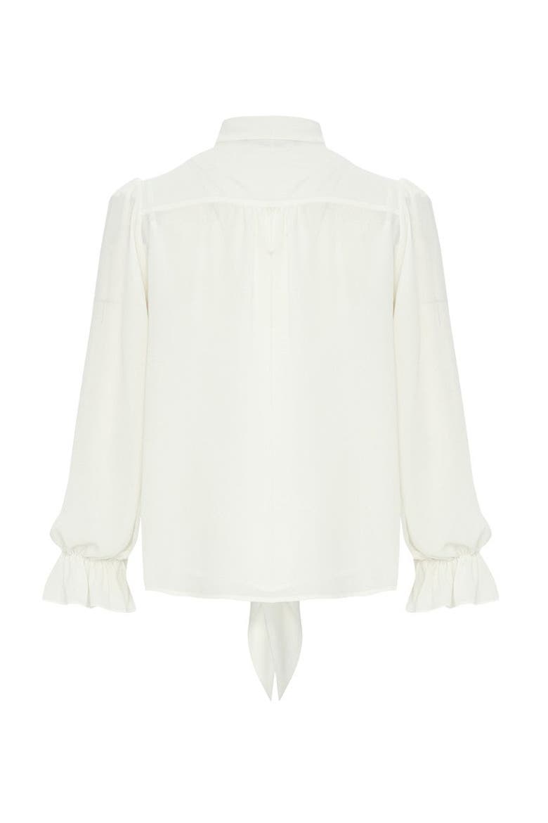 Aramis Chiffon Blouse, Alternate, color, Ecru