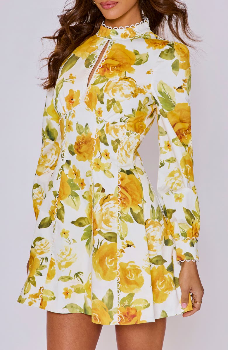 VICI Collection Vivienne Floral Long Sleeve Stretch Cotton Minidress, Alternate, color, 