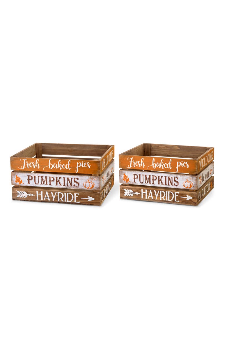 Set of 2 Wooden Pumpkin Crates Table Decor, Main, color, Orange