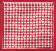 COACH Gingham Play Silk Scarf