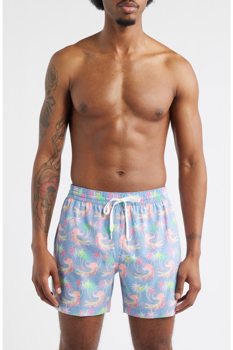 Rock-a-Crocks Lined 5.5-Inch Swim Trunks, Main, color, DUSTY BLUE