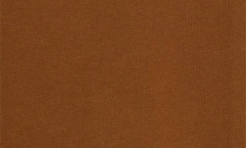 Carhartt Work In Progress Runaway Zip-up Hoodie In Hamilton Brown/white