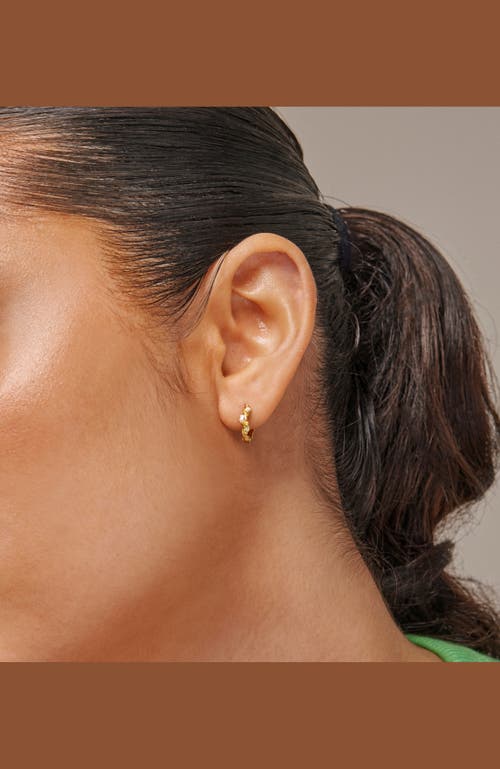 Enamel Copenhagen Laia Hoops In Gold