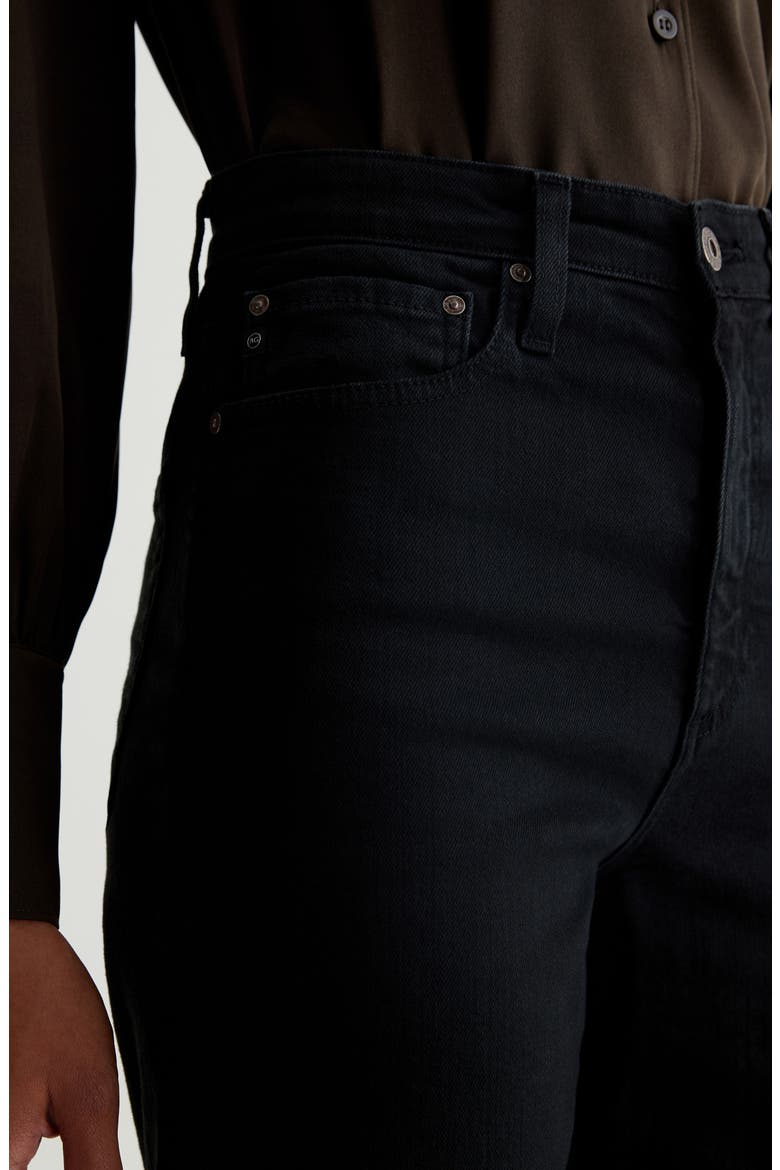 Rian High Waist Ankle Straight Leg Jeans, Alternate, color, SULFUR BLACK