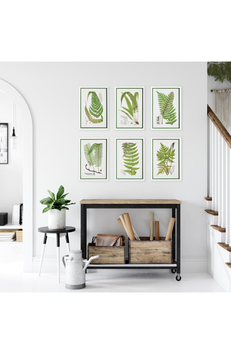 Napa Home & Garden Layered Fern Prints Set of 6, Alternate, color, Green