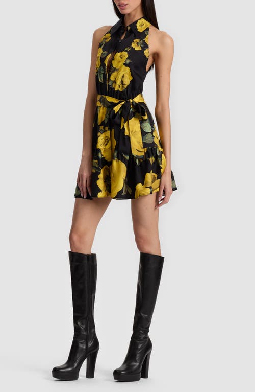 Alice And Olivia Miranda Mini Dress Rosehips In Black